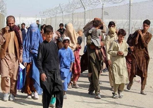 خیبر پختونخواسے غیر قانونی رہائش پذیر غیر ملکیوں کا انخلاء کا سلسلہ جاری ہیں،،،اب تک مجموعی طور پر 1لاکھ 81ہزار غیر ملکیوں کا انخلاء ہو چکاہے