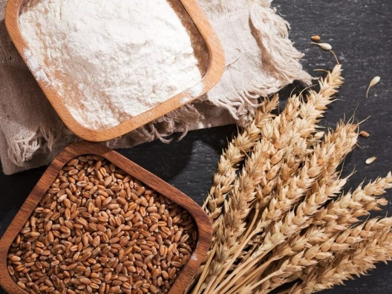 چار دن کی چاندنی اور پھر اندھیری رات،، ایک بار پھر گندم اور آٹا مہنگا