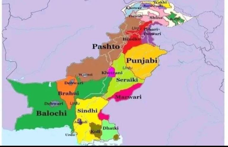 پاکستان میں 8 کروڑ 89 لاکھ افراد کی مادری زبان پنجابی ہے۔اداری شماریات