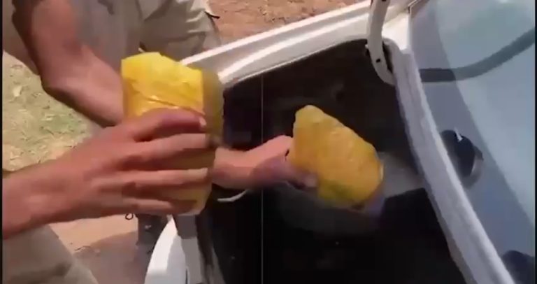 ملک بھر میں سیکیورٹی فورسز کا انسداد منشیات آپریشن، بڑی مقدار میں منشیات برآمد
