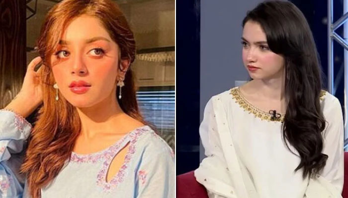 علیزے شاہ کی عینا کے بیان کی حمایت، سینئرز کی غیر ضروری تنقید پر سوال اٹھا دیا