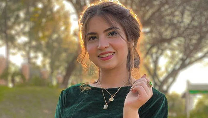 محبت اہم مگر اپنے کیرئیر اور اہداف پر کبھی سمجھوتہ نہیں کرونگی، دنانیر مبین