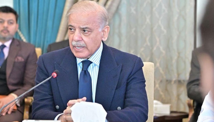 پاکستان کو درپیش دہشت گردی کے فتنے میں ملک کے مشرقی ہمسایہ کا کردار واضح ہے،وزیراعظم شہباز شریف